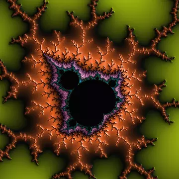 carnivoraceさんのユーザ画像