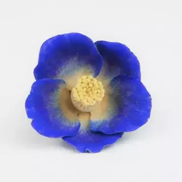 雪隠詰将棋さんのユーザ画像