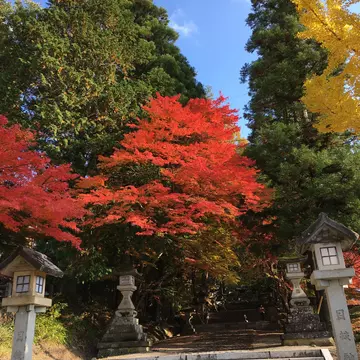 ひこぼしさんのユーザ画像