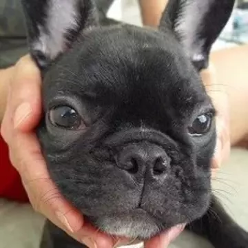 takubonさんのユーザ画像