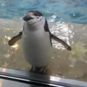 ぽんずさんのユーザ画像