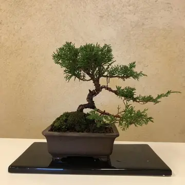 Hyperjoさんのユーザ画像