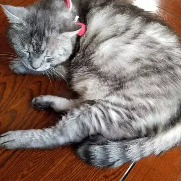 エドガーさんのユーザ画像