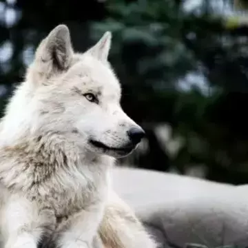 xenonさんのユーザ画像