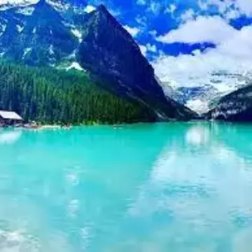 安保さんのユーザ画像