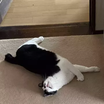 sabaunagiさんのユーザ画像