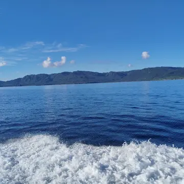 ゆすけさんのユーザ画像