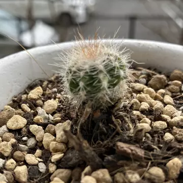 mying417さんのユーザ画像