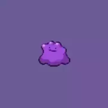 knewyolkさんのユーザ画像