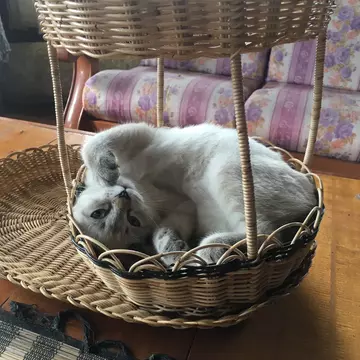 Pittaさんのユーザ画像