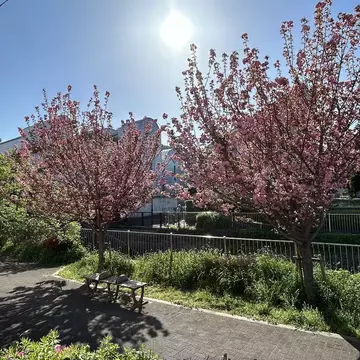 ラーメン太郎さんのユーザ画像