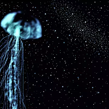 hirotoraさんのユーザ画像