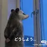 欧金金很大